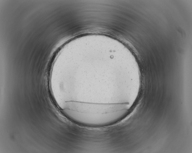 X0000111211114200908121126