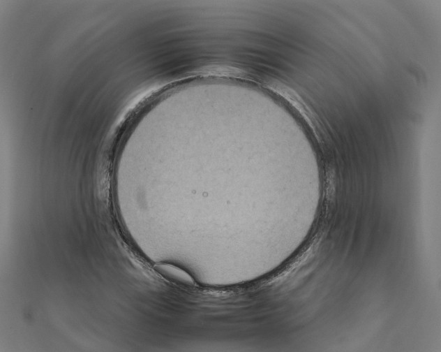 X0000111211115200908121126