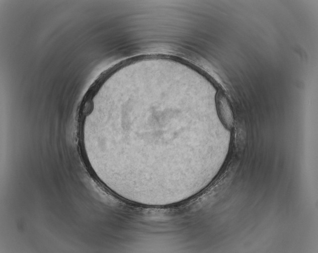 X0000111211116200908121126