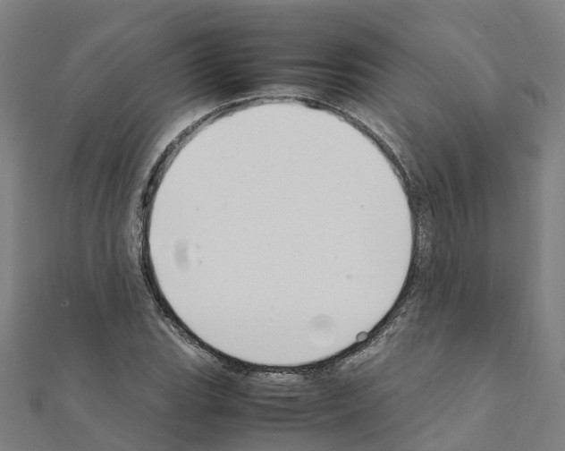 X0000111211119200908121126