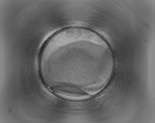 X0000111211120200908121126