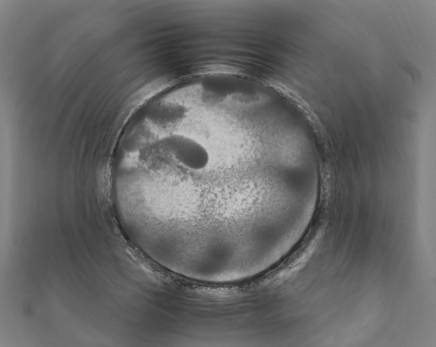 X0000111211121200908121126