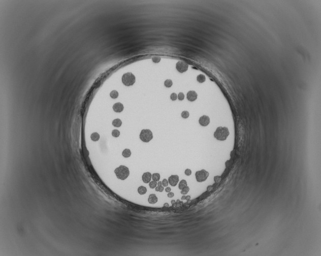 X0000111211123200908121126