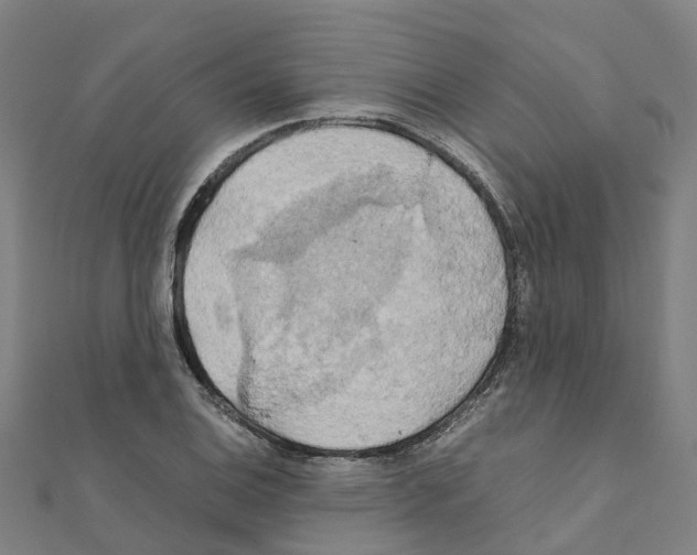 X0000111211124200908121126