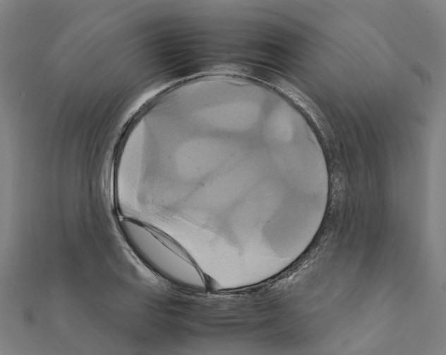 X0000111211127200908121126