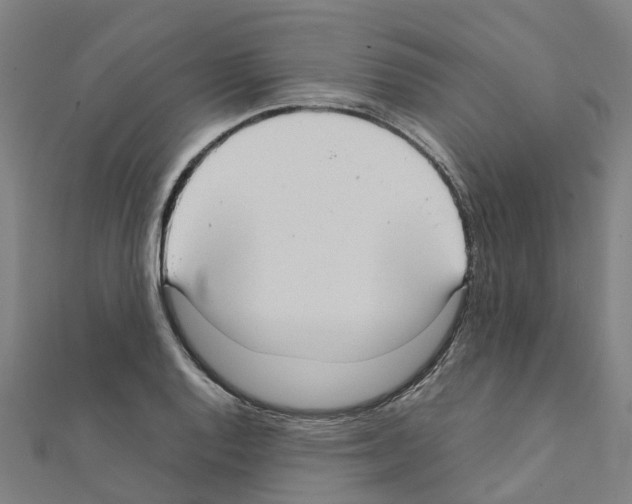 X0000111211128200908121126