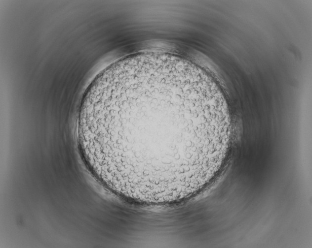 X0000111211130200908121126