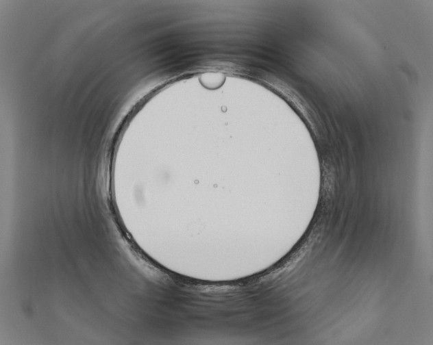 X0000111211131200908121126