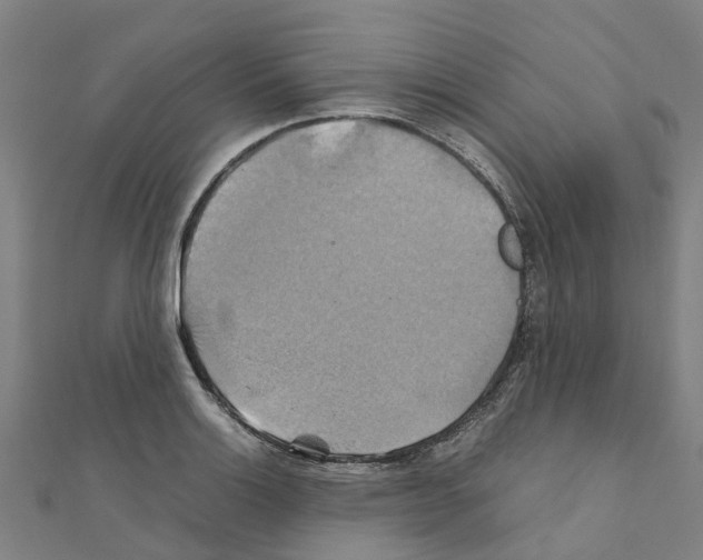 X0000111211132200908121126