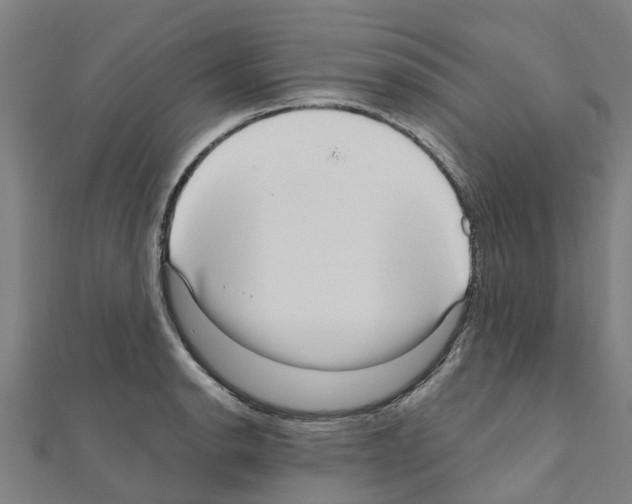 X0000111211134200908121126