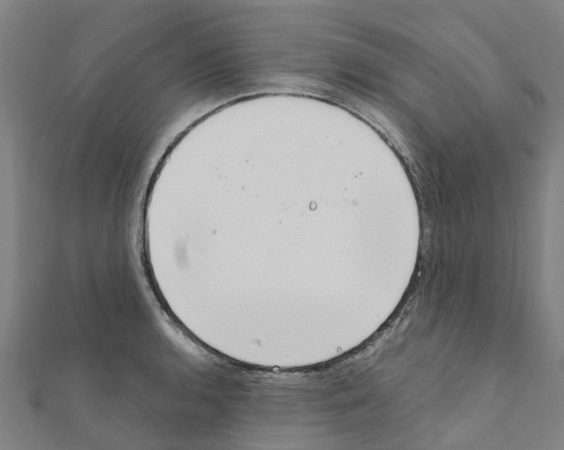 X0000111211136200908121127