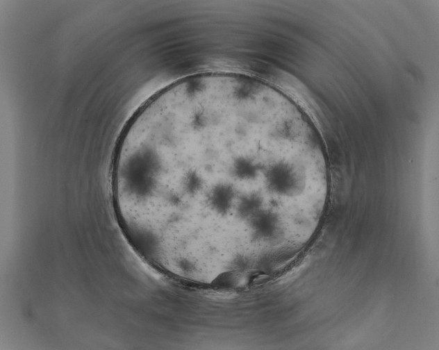 X0000111211141200908121127