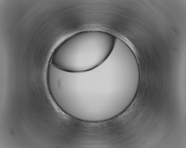 X0000111211144200908121127