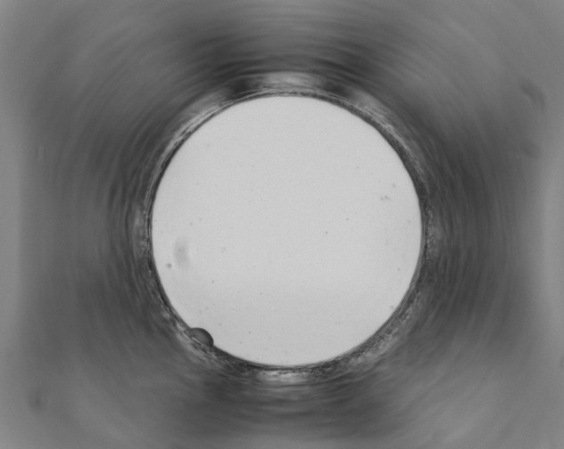 X0000111211145200908121127