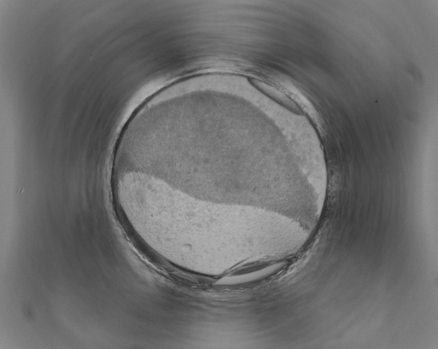 X0000111211146200908121127