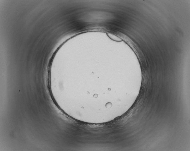 X0000111211147200908121127