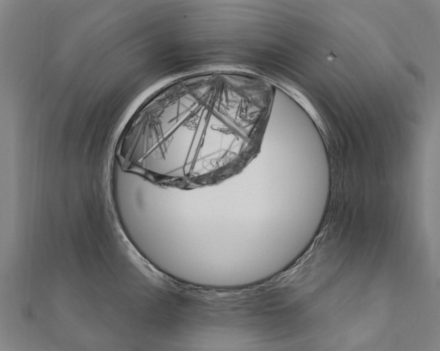 X0000111211148200908121127