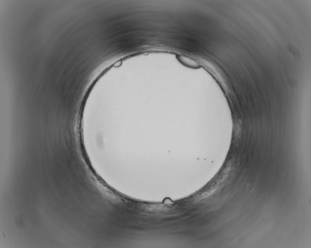 X0000111211149200908121127