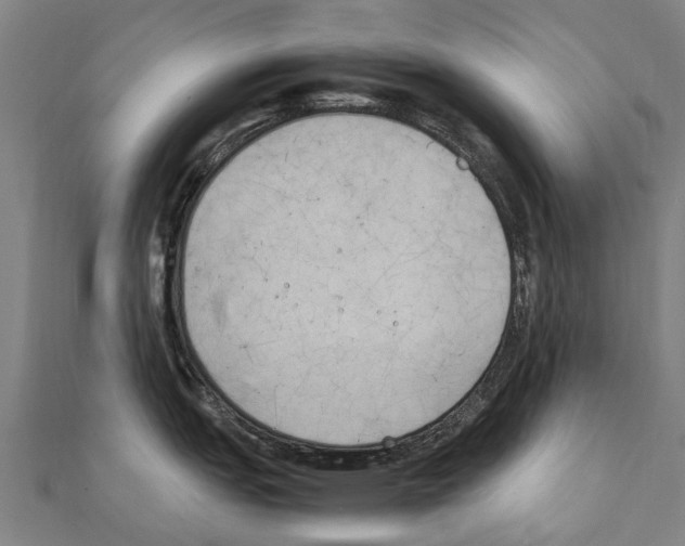 X0000111211151200908121127