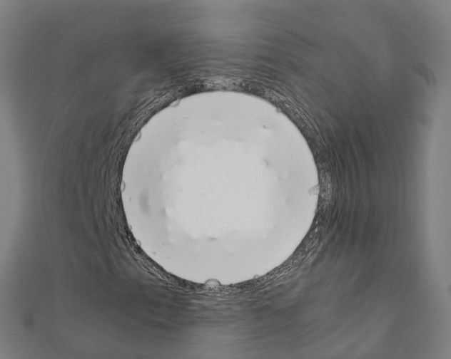 X0000111211153200908121126