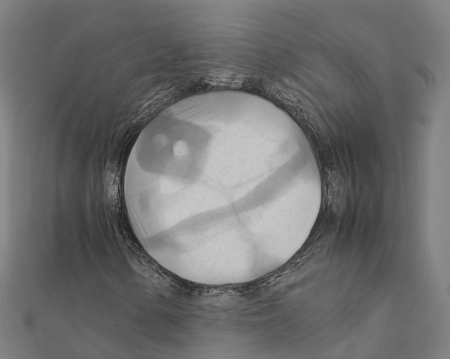 X0000111211154200908121126