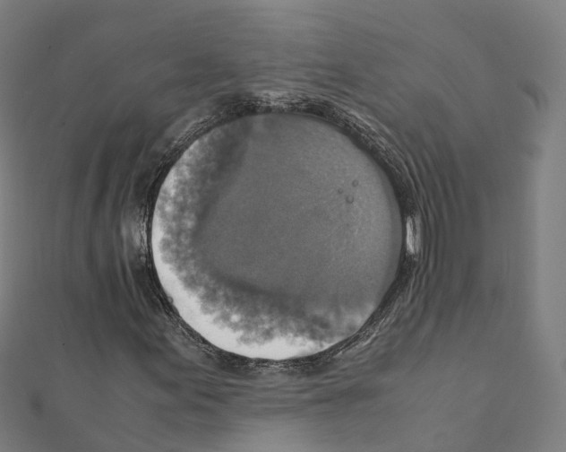 X0000111211155200908121126