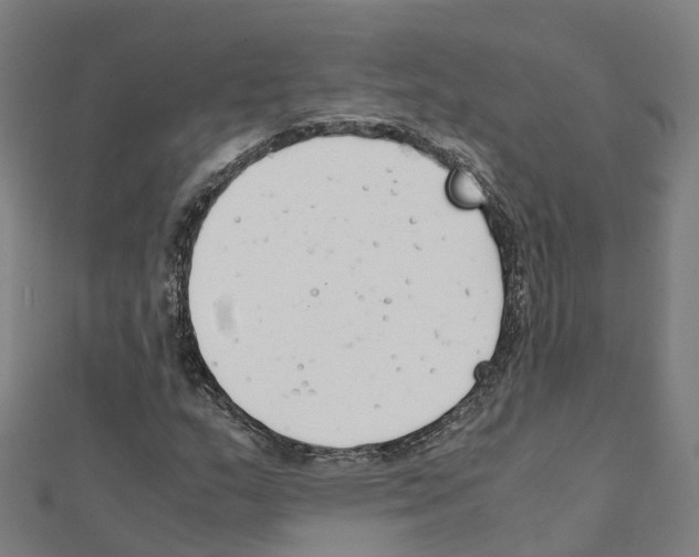 X0000111211159200908121126