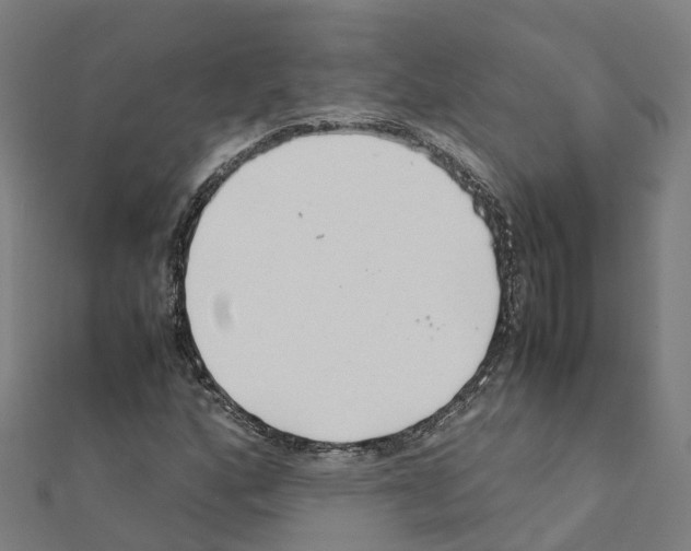 X0000111211160200908121126