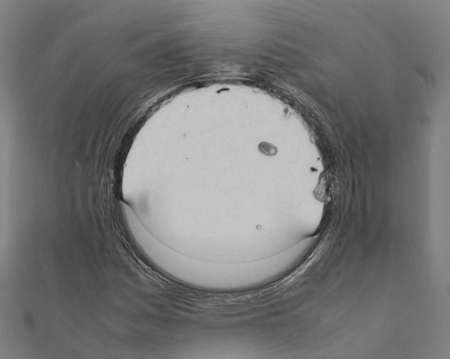 X0000111211161200908121126