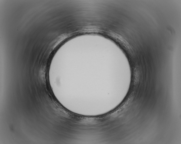 X0000111211162200908121126