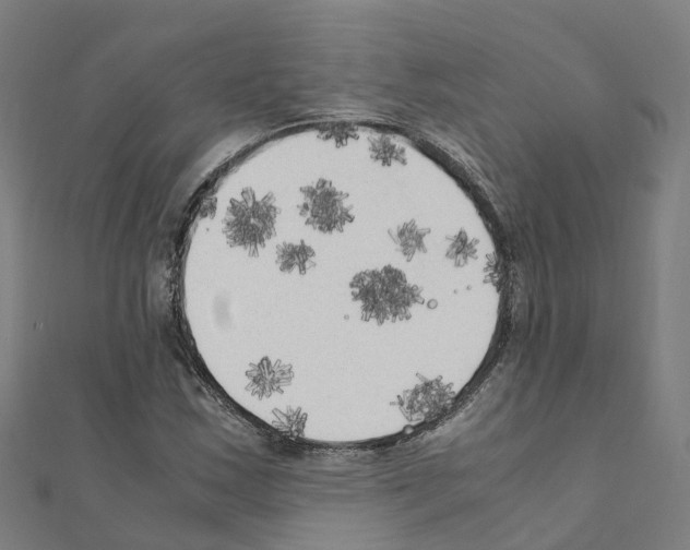 X0000111211163200908121126