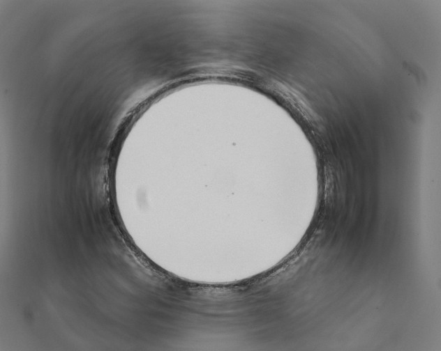 X0000111211164200908121126