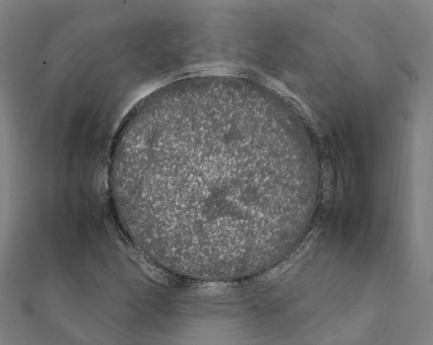 X0000111211166200908121126