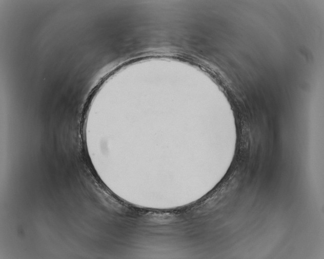 X0000111211168200908121126