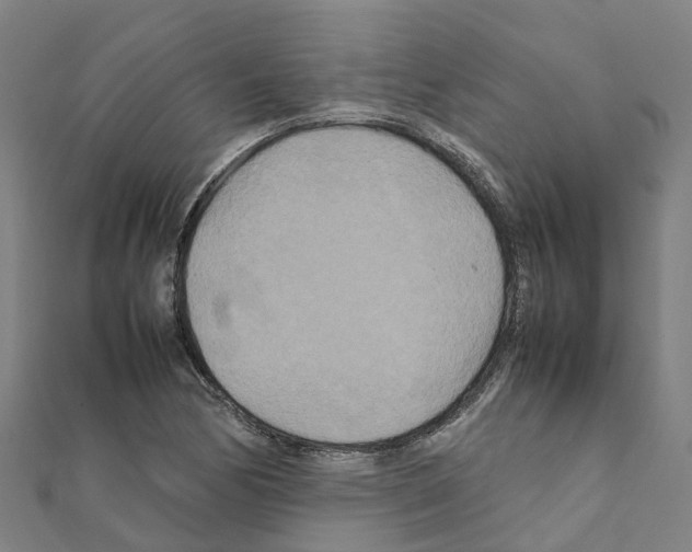 X0000111211170200908121126