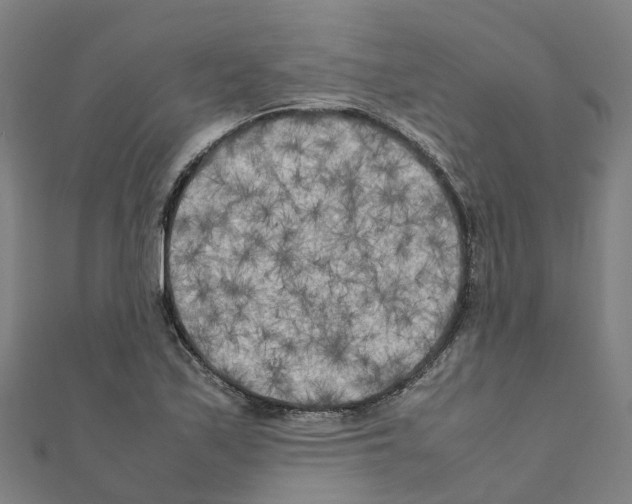 X0000111211171200908121126