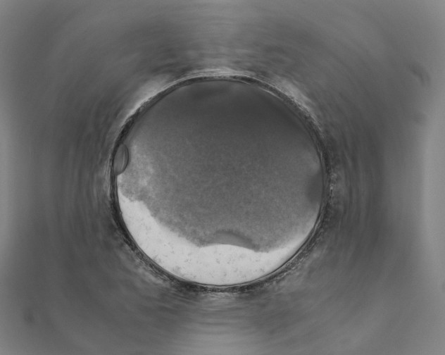 X0000111211173200908121126