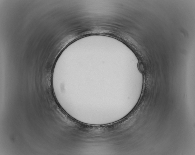 X0000111211177200908121125