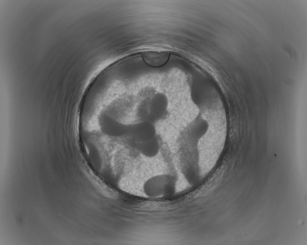 X0000111211179200908121125