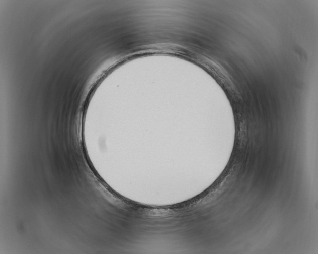 X0000111211180200908121125