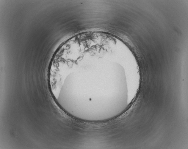 X0000111211181200908121125