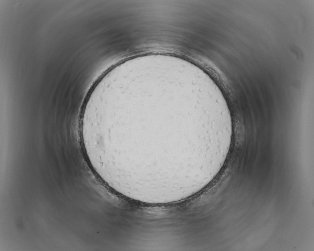 X0000111211182200908121125