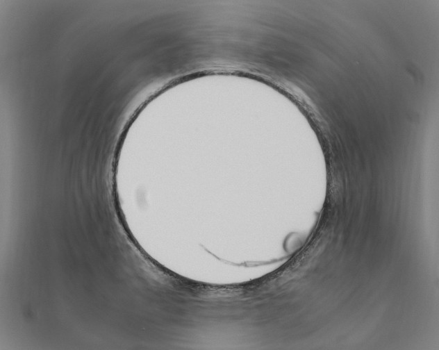 X0000111211183200908121125