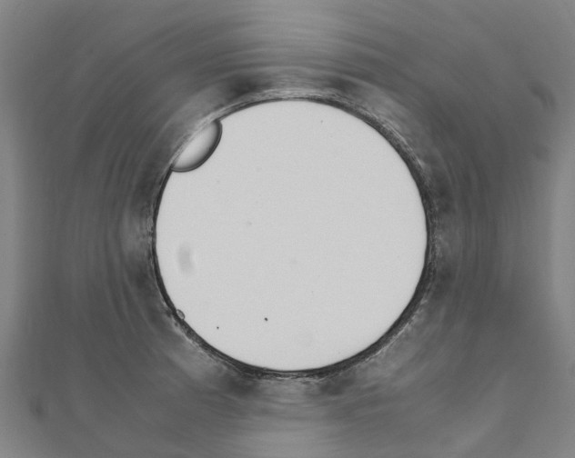 X0000111211185200908121125