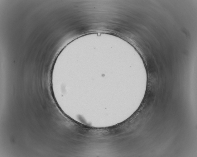 X0000111211187200908121125