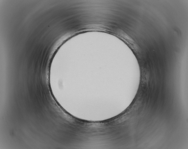 X0000111211188200908121125