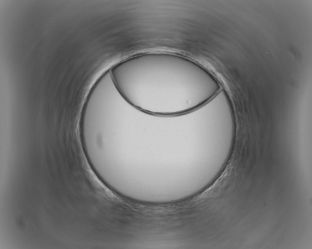 X0000111211189200908121125