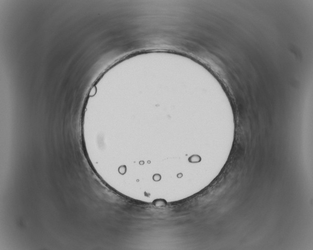 X0000111211191200908121125