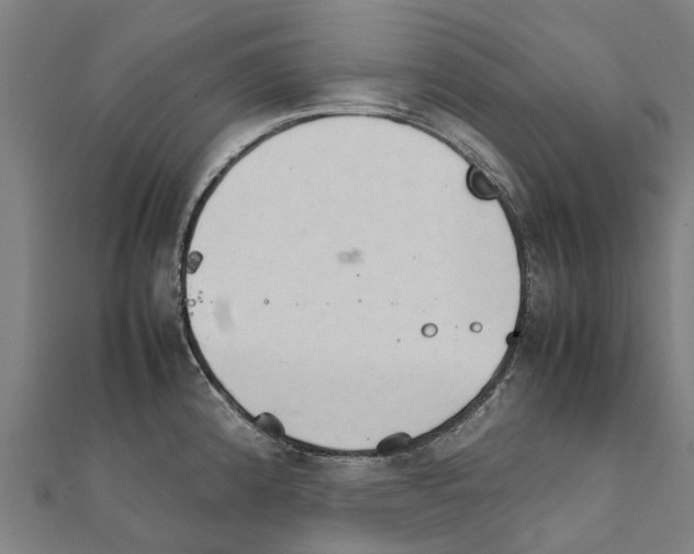 X0000111211192200908121125