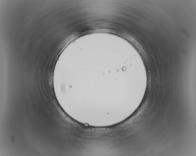 X0000111211193200908121125